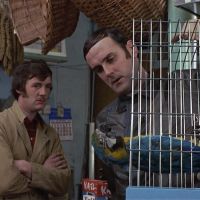 American “Democracy” as a Dead Parrot: Constitutions, Killing Floors, an Unhatched Egg, and Forced Motherhood