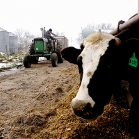 Agriculture, inflation, Jan. 6: Where the GOP candidates running in Minnesota’s 1st Congressional District election stand on the issues | MinnPost