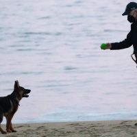 Fence Surrounding Biden’s Delaware Beach House Costs About $500,000, Records Show