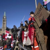 GoFundMe Tells Committee 88 Percent of Freedom Convoy Donations From Canada