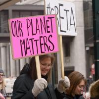 Letter to the editor: There is one simple first step to creating a carbon-neutral world | Little Village