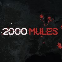 ‘2000 Mules’ fact check: Michigan experts debunk election fraud claims