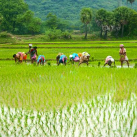 UN Food Systems Summit: Leaders Commit To Tackling Global Hunger