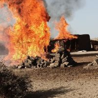 Multinational Military Task Force Wipes Out Hundreds of Islamist Terrorists Near Lake Chad