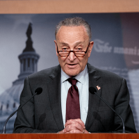 RNC Warns: ‘Freedom to Cheat Act’ Will ‘Eviscerate’ Voter ID