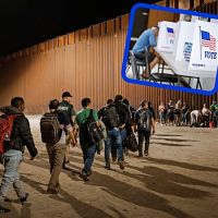 Dale Wilcox: Democrats Using Sanctuary Cities to ‘Import Voters’ as Their Voter Base Shrinks