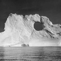 How Eco-Fiction Became Realer Than Realism