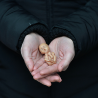 Game Developer CEO Steps Down After Pro-Life Tweet on Texas Abortion Law