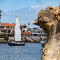 City Council Candidate Joe Stapleton Wants to ‘Keep Newport, Newport’