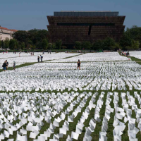 Herd Immunity: Covid Deaths Devouring the South Are No Accident