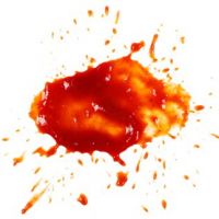 Could Trump splatter the wall with ketchup and not lose a vote? - The Boston Globe