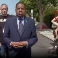 Larry Elder says gorilla egg attack ‘would be a hate crime’ if he was a Dem