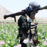 Biden Admin Praises Taliban for Alleged Ban on Opium Poppies