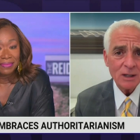 Joy Reid: DeSantis Will Sic Voter Integrity Police on Black People