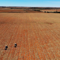 War in Ukraine adds to food price hikes, hunger in Africa