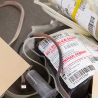 Our son was fighting for his life. A gay blood donor ban blocked us from giving help he needed.