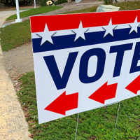 Instant-runoff voting Img