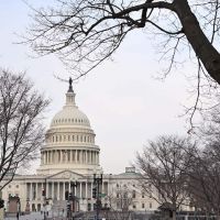 As House Moves Forward on Gun Bills, Senate Seeks More Time to Find Bipartisan Agreement