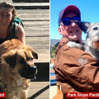 Not even a murdered dog can convince Park Slope progressives that…