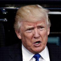 Midnight in the garden of crazy and evil