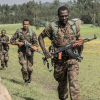 US pushes diplomacy, prepares sanctions as Ethiopia launches new offensive in brutal war, risking famine