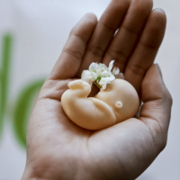 FL Senate GOP Bill to Prohibit Abortion of Babies After 15 Weeks