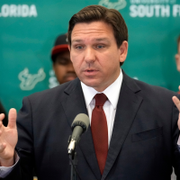 Florida redistricting gets murky, and of course DeSantis is involved