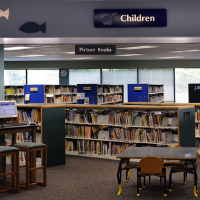 Teachers are under fire in increasingly bizarre ways