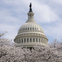 Proxy voting likely finished if Republicans win midterm elections