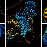 AI gives us an astounding new view of life’s basic building blocks