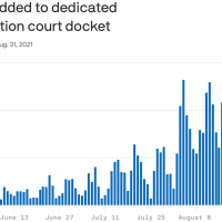 Immigration court process hits rocket speed as border asylum cases surge