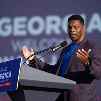 Georgia Senate candidate Herschel Walker questions evolution, asking, ‘Why are there still apes?’