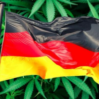 Elections In Germany And Cannabis: Where Does Each Party Stand On Marijuana?
