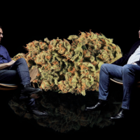 Adult-Use Cannabis In Argentina: President Supports The Debate In Popular Show, Says Alcohol Is More Harmful Than Weed