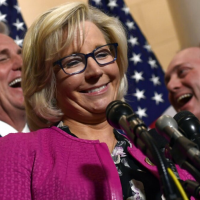 Just 15% of Congress rate 100% on conservative family report card