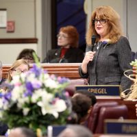 Ellen Spiegel joins race for secretary of state
