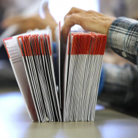 FDLE report says mass registering of inmates could compromise voter registration system