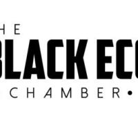 Brave New World Joins Forces with Washington State Reps and the Department of Commerce to Launch New Black Business Incubator
