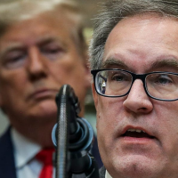 Internal documents show how Trump’s top environmental administrator faced an ethics inquiry over an impeachment comment