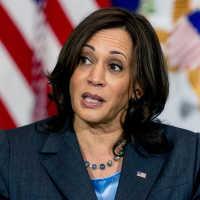 Vice President Kamala Harris said images at the border of officers ...