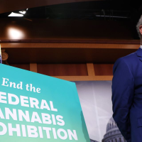 The High Price of Federal Marijuana Legalization