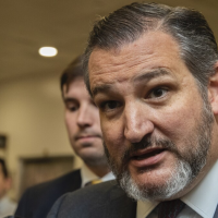 Sen. Ted Cruz speculates on Supreme Court leaker but admits having ‘no evidence’