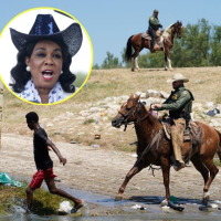 Rep. Frederica Wilson: Apprehension of Haitian Border Migrants ‘Looked Like Slavery’