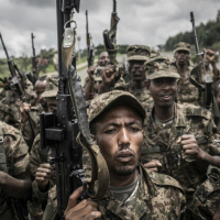 Ethiopia Forces Strike Tigray Rebels In ‘Massive’ Move
