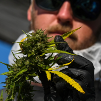 Maryland’s marijuana legalization plan is thoughtful and likely to succeed