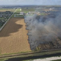 Surge of Momentum in Bipartisan Effort for Sugar Industry Reform