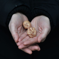 FL Lawmaker Introduces Heartbeat Bill Like TX Law to Protect the Unborn