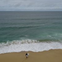 Oceans work hard at capturing carbon, too