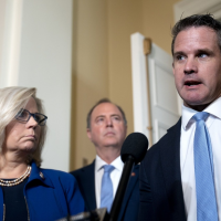 A party that censures its most principled has lost its way