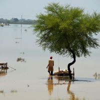 Pakistan Calls for Financial Aid as Floods Threaten Economic Output